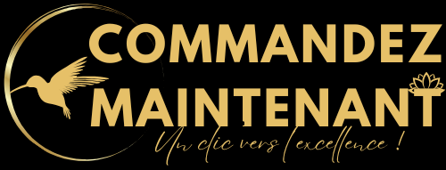 Copie de logo instant beaute 4